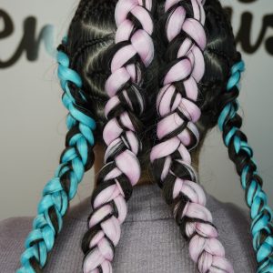 PROGRAMA PROFESIONAL DE TRENZAS