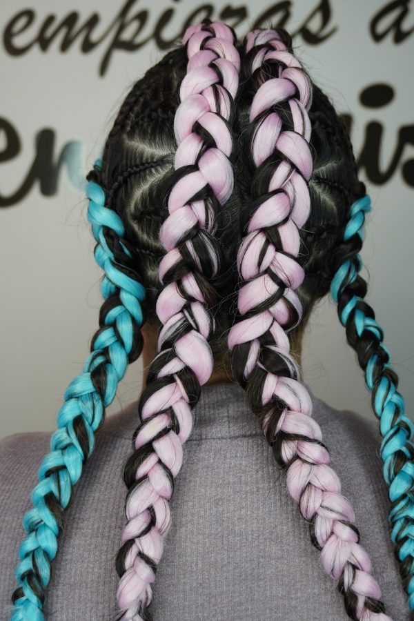 PROGRAMA PROFESIONAL DE TRENZAS